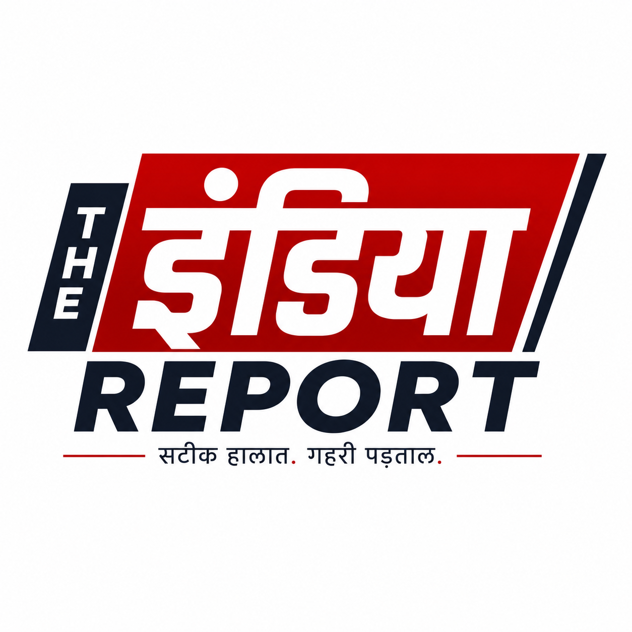 The India Report logo
